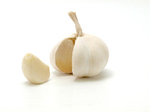 Garlic bulb